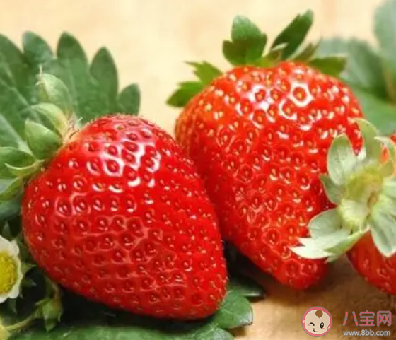 草莓價格大跳水是怎么回事 這個冬天你實現草莓自由了嗎 草莓價格大跳水是怎么回事 這個冬天你實現草莓自由了嗎