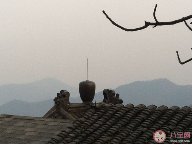 成語高屋建瓴的瓴指的是什么 螞蟻莊園12月20日答案