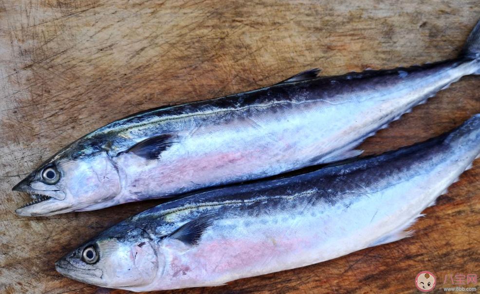 人們常說的鲅魚是哪種魚的俗稱 神奇海洋12月20日答案