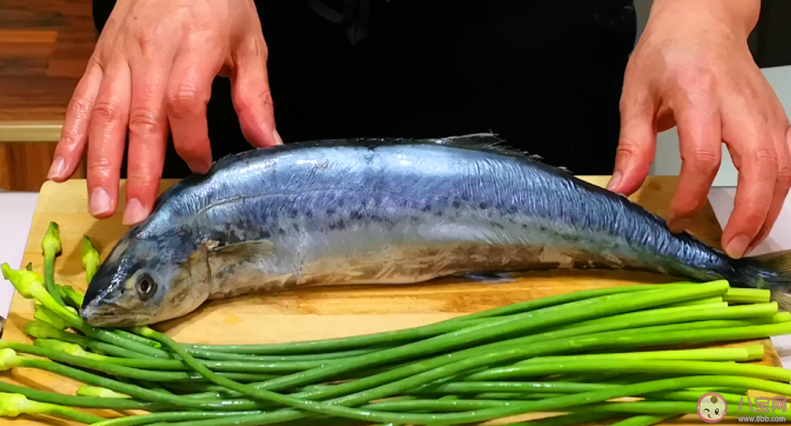 人們常說的鲅魚是哪種魚的俗稱 神奇海洋12月20日答案