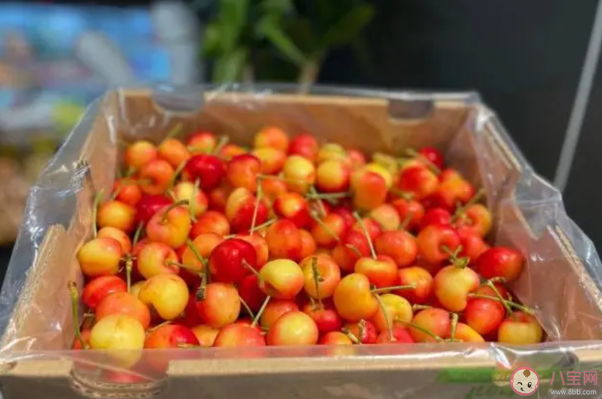 金車厘子身價暴漲300多元一斤是怎么回事 金車厘子有什么不同