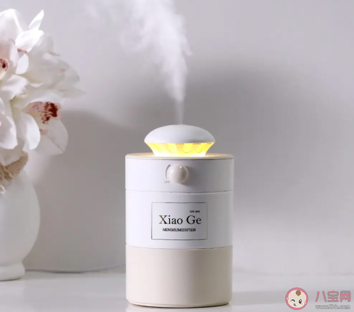 開(kāi)暖氣后加濕器要一直開(kāi)著嗎 加濕器開(kāi)多久能起作用 開(kāi)暖氣后加濕器要一直開(kāi)著嗎 加濕器開(kāi)多久能起作用