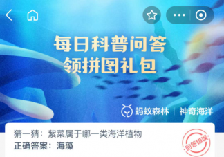 紫菜屬于哪一類海洋植物 神奇海洋12月21日答案