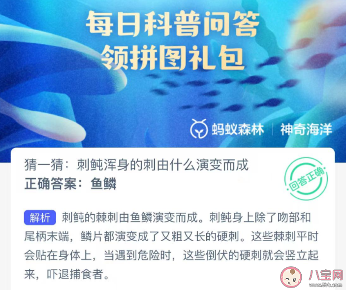 刺鲀渾身的刺由什么演變而成 神奇海洋12月26日答案