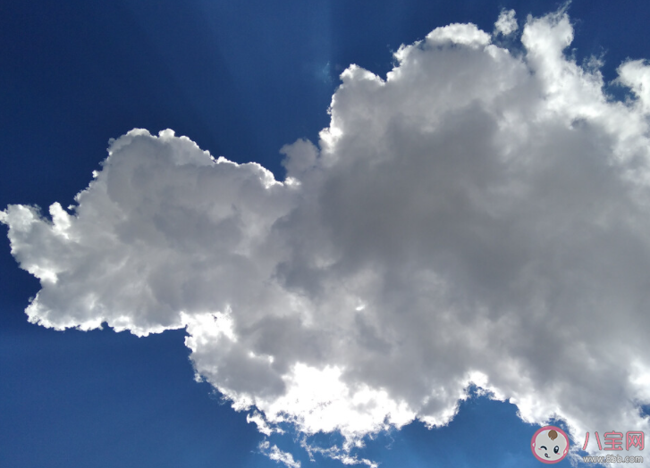 你說(shuō)翻越那座天空會(huì)有誰(shuí)在等著我是什么歌 《會(huì)開(kāi)花的云》歌詞歌曲介紹