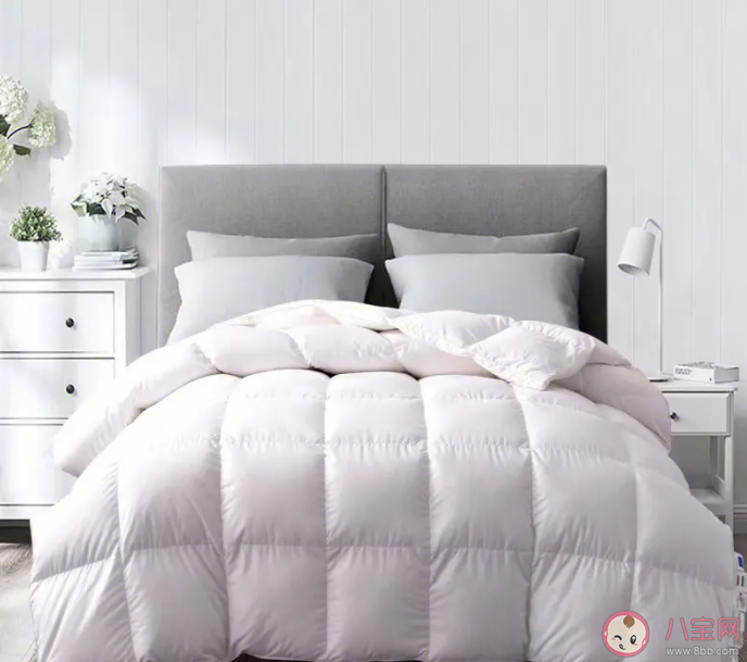 女生把舊羽絨服改羽絨被省下千元 如何挑選合適的羽絨被 女生把舊羽絨服改羽絨被省下千元 如何挑選合適的羽絨被