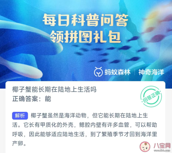 椰子蟹能長期在陸地上生活嗎 神奇海洋12月28日答案