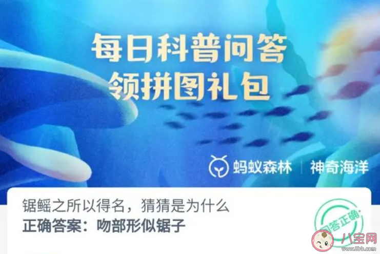 鋸鰩之所以得名猜猜是為什么 神奇海洋1月2日答案 鋸鰩之所以得名猜猜是為什么 神奇海洋1月2日答案