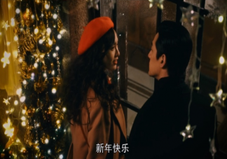 《繁花》汪小姐有什么背景 汪小姐被調(diào)查是怎么回事