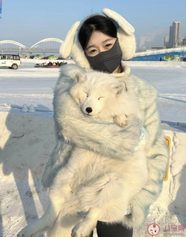 爆火的為何是哈爾濱不是東北其他城市 哈爾濱為什么火了