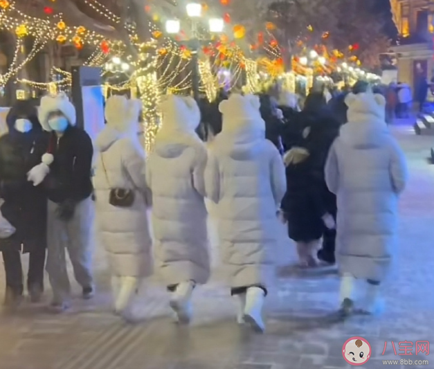 南方小土豆是什么梗 你怎么看南方小土豆這一稱呼