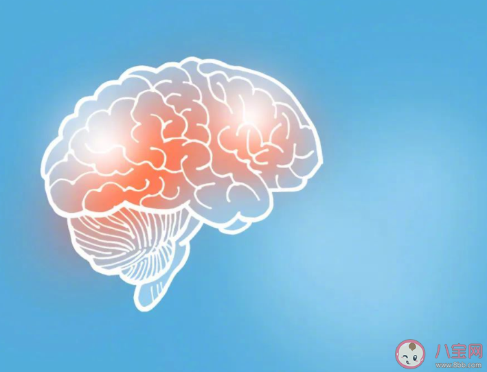 人體哪5個器官最怕過冬 冬天如何保護我們的器官