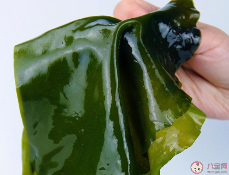 褐色的海帶用熱水燙了之后變成綠色這是為什么 螞蟻莊園1月5日答案 褐色的海帶用熱水燙了之后變成綠色這是為什么 螞蟻莊園1月5日答案