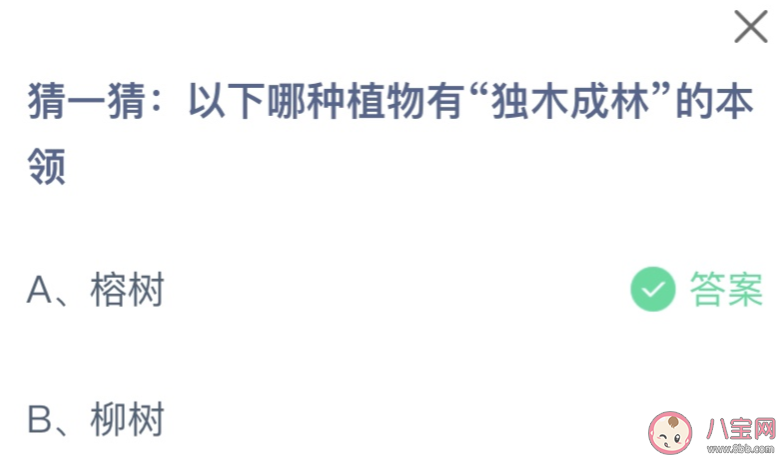 以下哪種植物有獨木成林的本領 螞蟻莊園1月5日答案 以下哪種植物有獨木成林的本領 螞蟻莊園1月5日答案