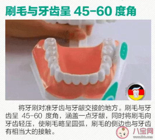 牙菌斑過多的表現有哪些 牙齒長牙菌斑了怎么辦