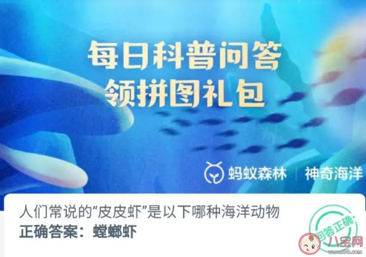 人們常說的皮皮蝦是以下哪種海洋動物 神奇海洋1月6日答案