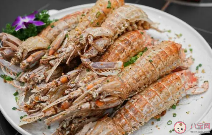 人們常說的皮皮蝦是以下哪種海洋動物 神奇海洋1月6日答案