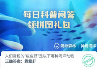 人們常說的皮皮蝦是以下哪種海洋動物 神奇海洋1月6日答案