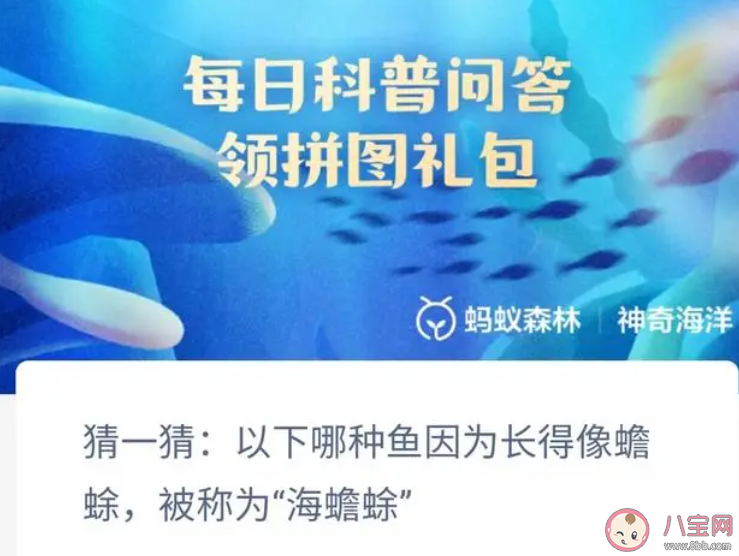 以下哪種魚因為長得像蟾蜍被稱為海蟾蜍 神奇海洋1月8日答案 以下哪種魚因為長得像蟾蜍被稱為海蟾蜍 神奇海洋1月8日答案