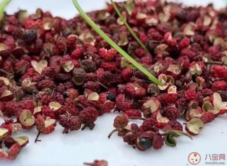 以下哪種日常食材是我國的本土植物 2024螞蟻莊園1月10日答案