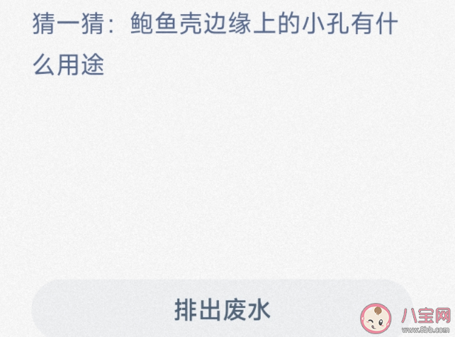 猜一猜鮑魚殼邊緣上的小孔有什么用途 神奇海洋1月10日答案