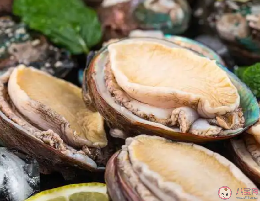 猜一猜鮑魚殼邊緣上的小孔有什么用途 神奇海洋1月10日答案