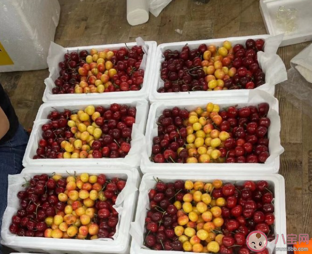 車?yán)遄泳褪谴筇柕臋烟覇?車?yán)遄雍蜋烟矣惺裁磪^(qū)別 車?yán)遄泳褪谴筇柕臋烟覇?車?yán)遄雍蜋烟矣惺裁磪^(qū)別