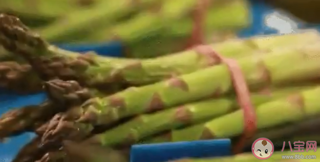 有些蔬菜的嘌呤比肉還高嗎 痛風的人不能吃什么