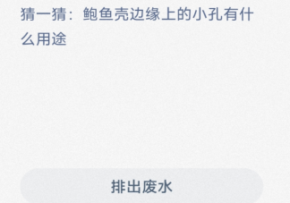 猜一猜鮑魚殼邊緣上的小孔有什么用途 神奇海洋1月10日答案