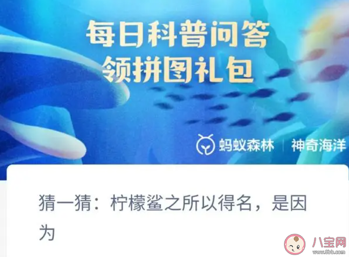 猜一猜檸檬鯊之所以得名是因為什么 神奇海洋1月11日答案 猜一猜檸檬鯊之所以得名是因為什么 神奇海洋1月11日答案