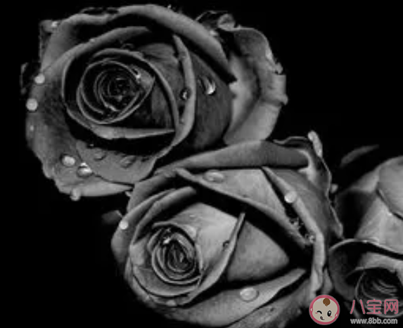 猜一猜在古代的色彩體系中以下哪種顏色指的是黑色 螞蟻莊園1月12日答案