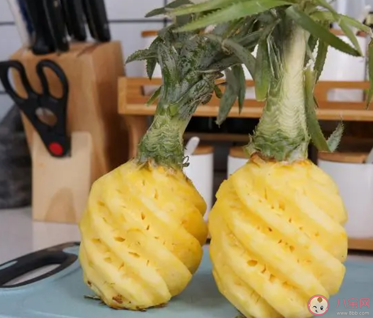 按壓菠蘿表皮時哪種手感吃起來味道更好 螞蟻莊園1月12日答案