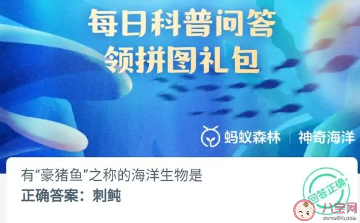 有豪豬魚之稱的海洋生物是什么 神奇海洋1月12日答案