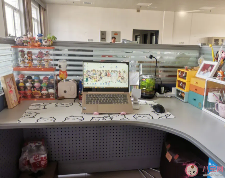 為什么年輕人越來越喜歡布置工位 到底要不要布置自己的工位