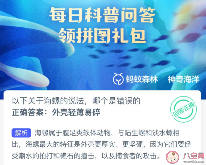 以下關(guān)于海螺的說法哪個是錯誤的 神奇海洋1月15日答案