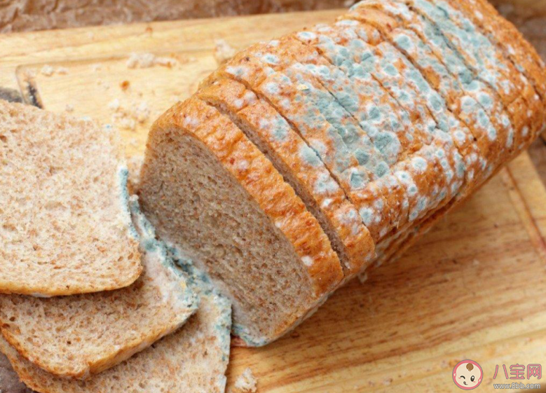 不要忽視霉菌對身體的危害  霉菌會對身體有哪些傷害