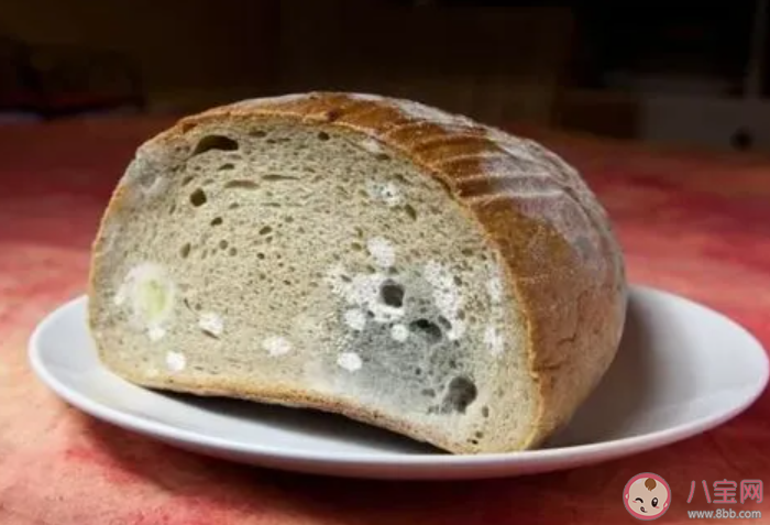 不要忽視霉菌對身體的危害  霉菌會對身體有哪些傷害