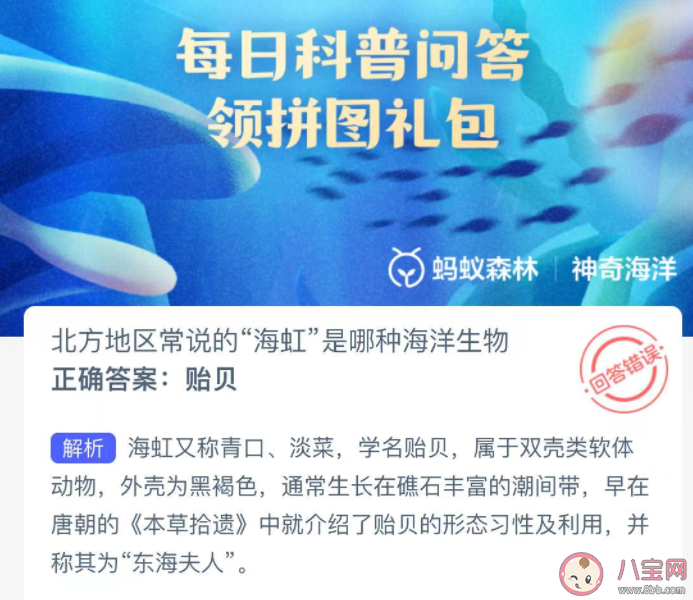 北方地區常說的海虹是哪種海洋生物 神奇海洋1月16日答案