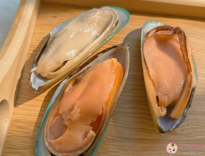 北方地區常說的海虹是哪種海洋生物 神奇海洋1月16日答案