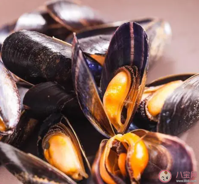 北方地區常說的海虹是哪種海洋生物 神奇海洋1月16日答案