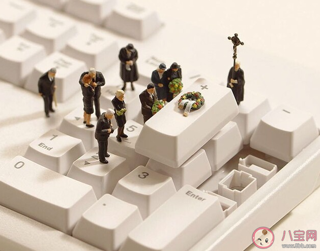 于方寸間塑造回憶是對以下哪個職業(yè)貼切描述 螞蟻新村1月17日答案