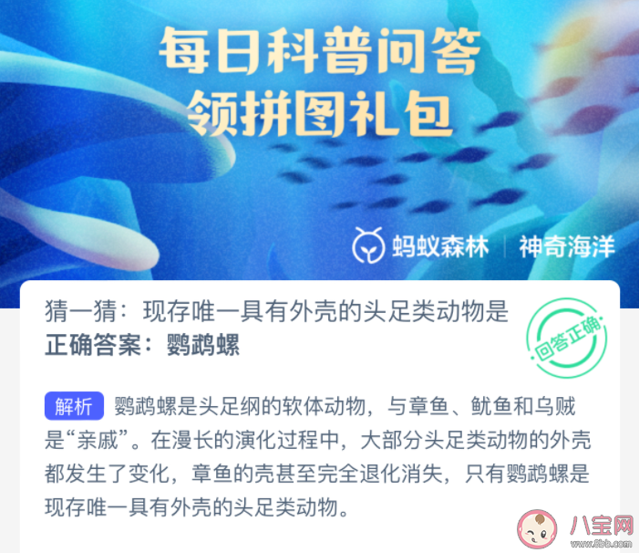 現存唯一具有外殼的頭足類動物是什么 神奇海洋1月17日答案 現存唯一具有外殼的頭足類動物是什么 神奇海洋1月17日答案