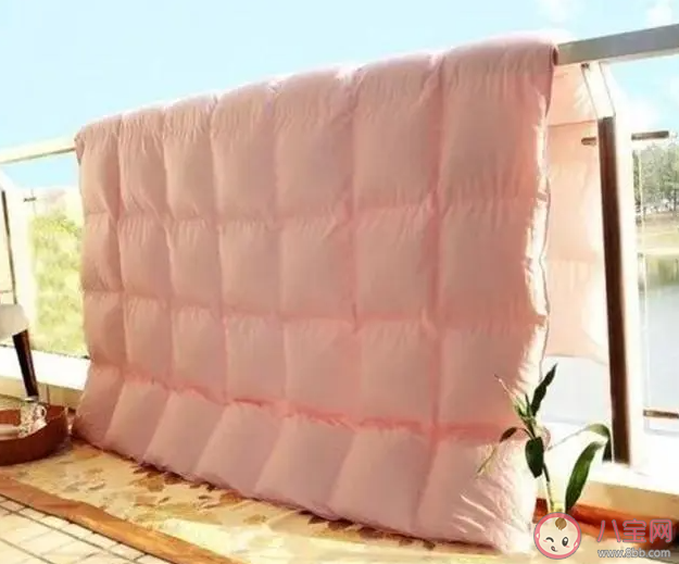 曬被子后的太陽味是怎么來的 被子上的太陽味是螨蟲烤焦的味道嗎 曬被子后的太陽味是怎么來的 被子上的太陽味是螨蟲烤焦的味道嗎