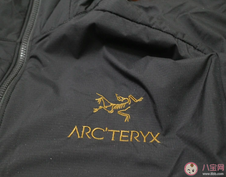 為什么戶外愛(ài)好者放棄始祖鳥了 始祖鳥不受戶外愛(ài)好者歡迎了嗎 為什么戶外愛(ài)好者放棄始祖鳥了 始祖鳥不受戶外愛(ài)好者歡迎了嗎