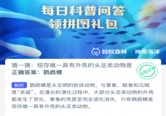 現存唯一具有外殼的頭足類動物是什么 神奇海洋1月17日答案
