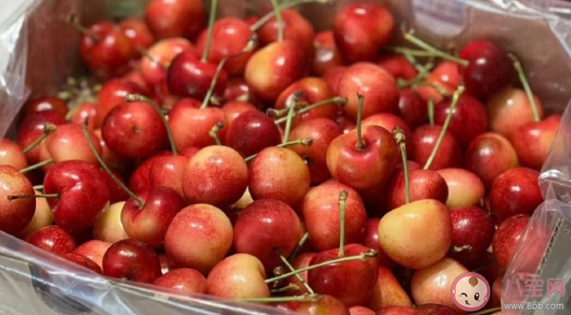 車厘子降價仍不被買賬是為什么 車厘子不受歡迎了嗎