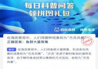 在海底景觀中人們將哪種現象稱為杰克風暴 神奇海洋1月18日答案