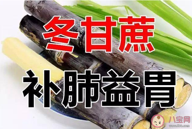 民間有大寒吃三冬的習俗通常指的是冬瓜冬棗和什么 螞蟻莊園1月20日答案