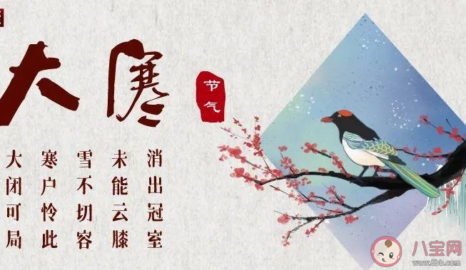 俗話說(shuō)大寒大寒防風(fēng)御寒以下哪種做法更適合大寒養(yǎng)生 螞蟻莊園1月20日答案 俗話說(shuō)大寒大寒防風(fēng)御寒以下哪種做法更適合大寒養(yǎng)生 螞蟻莊園1月20日答案