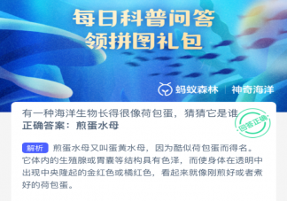 有一種海洋生物長得很像荷包蛋猜猜它是誰 神奇海洋1月19日答案